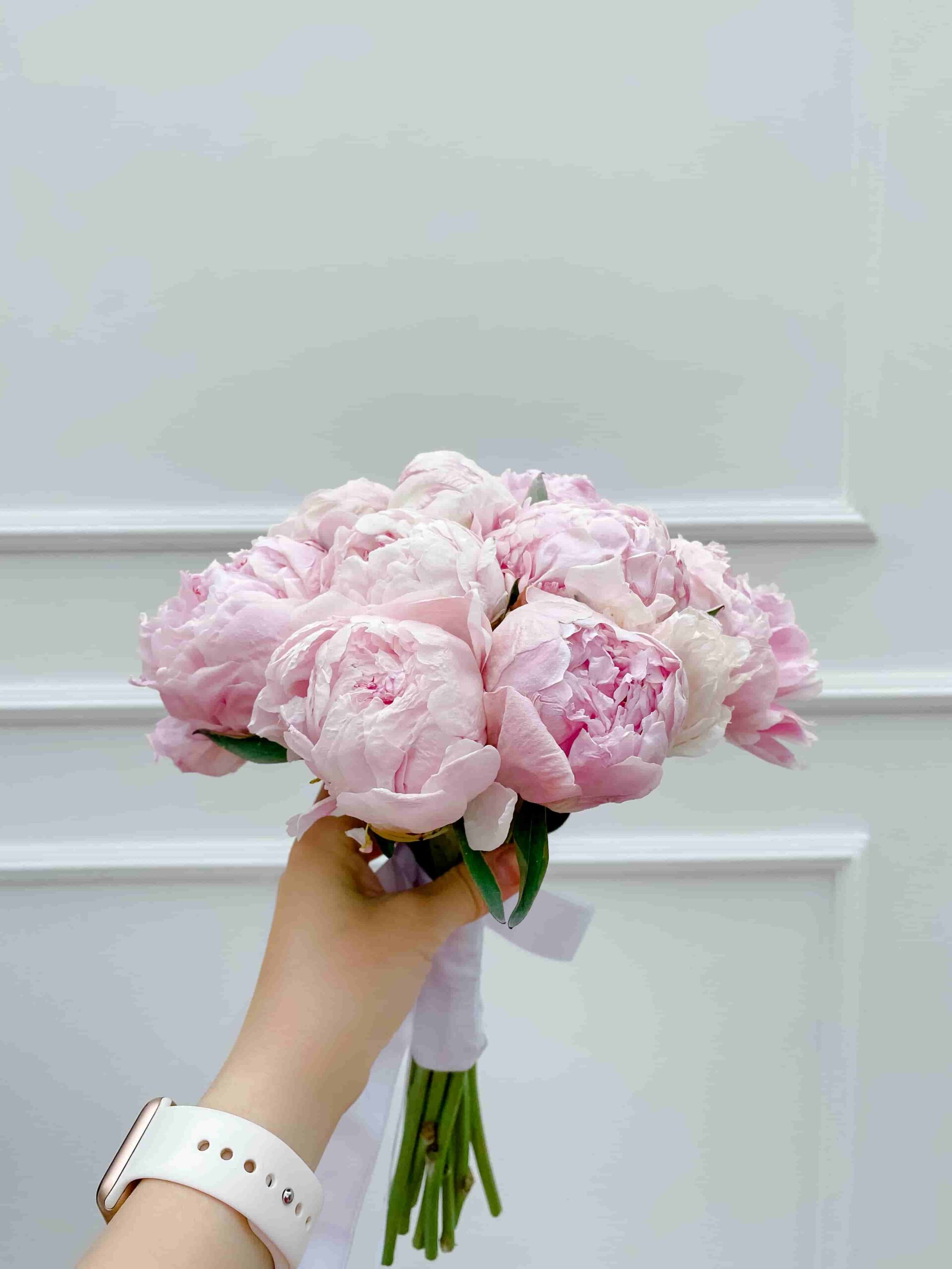 Peonies