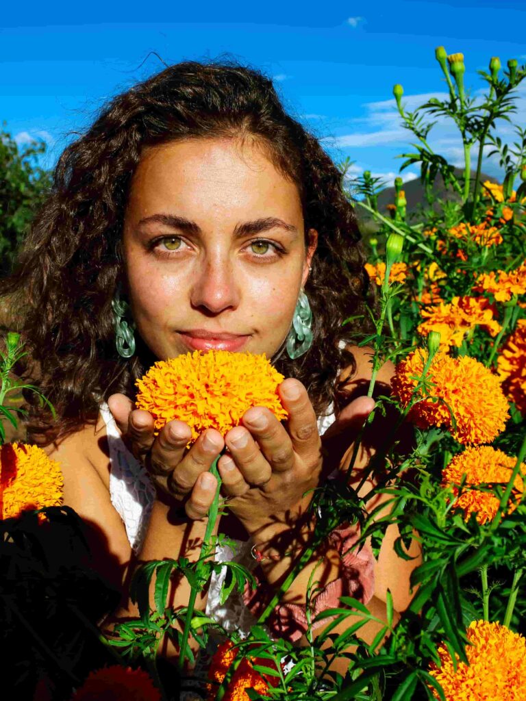 Marigolds